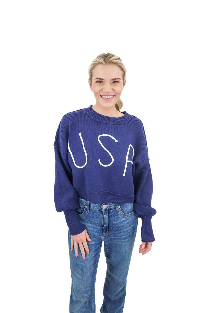 vici navy usa sweater (retail $68)