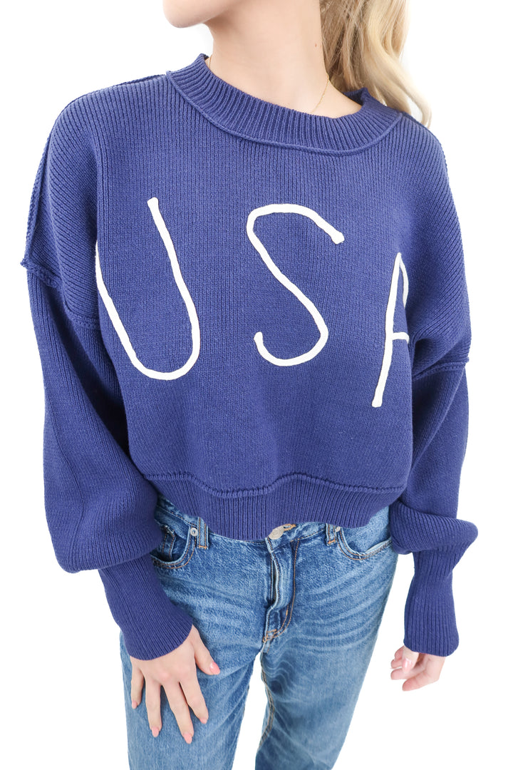 vici navy usa sweater (retail $68)