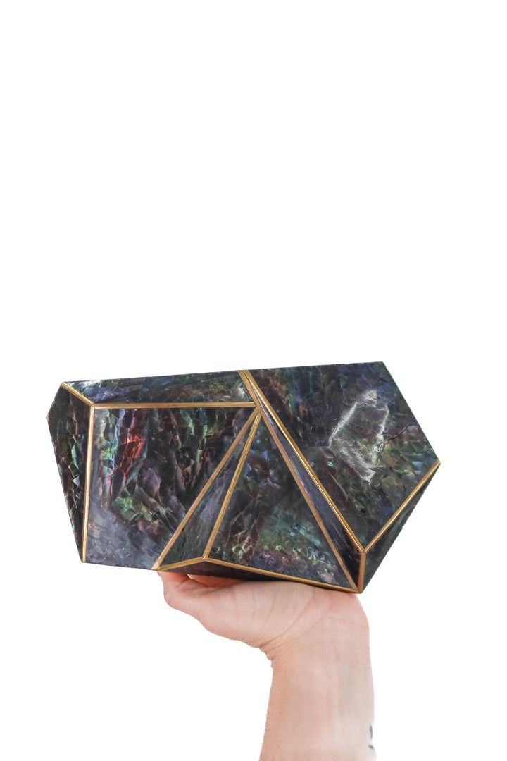 rafe irriedescent clutch (retail $485)