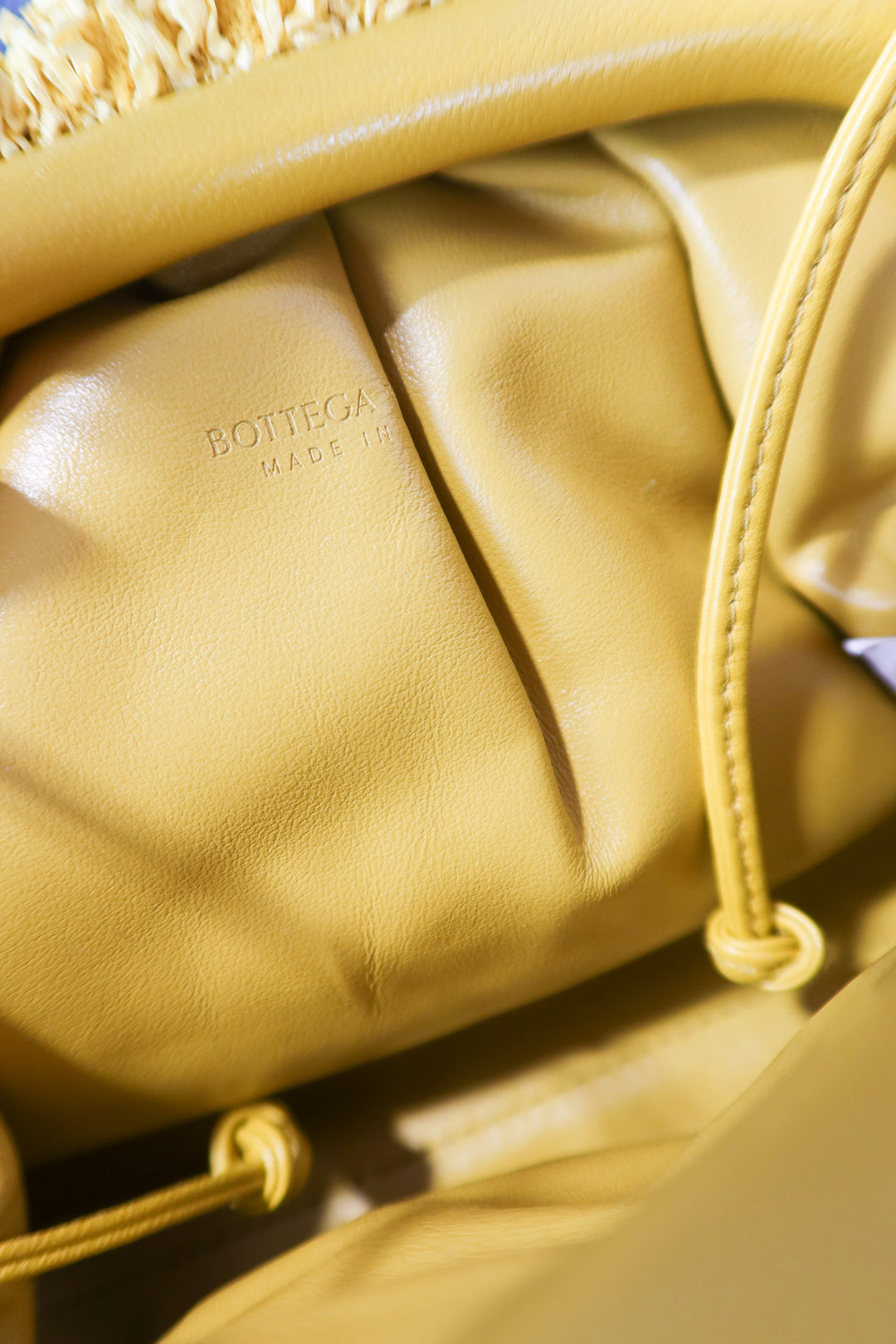 Bottega Veneta Curly Raffia Mini Pouch (est. retail $2,500)