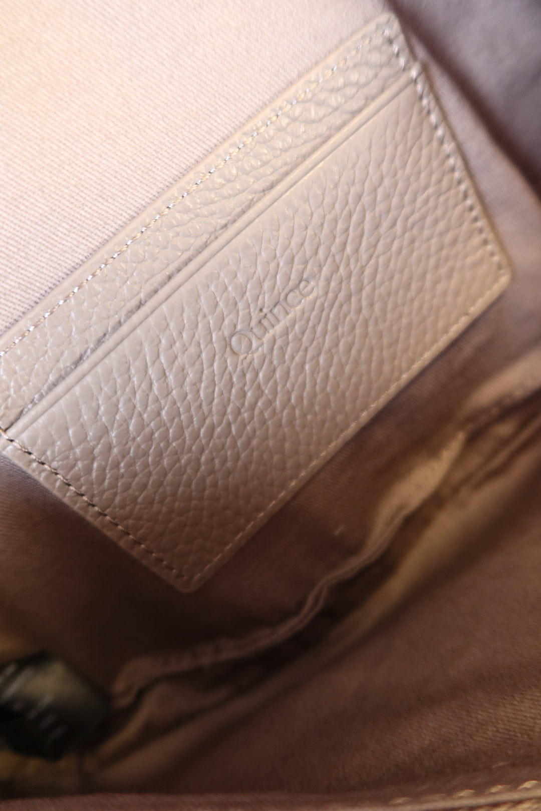 Quince Mink Pebbled Leather Sling Bag NWT (Retail $70)