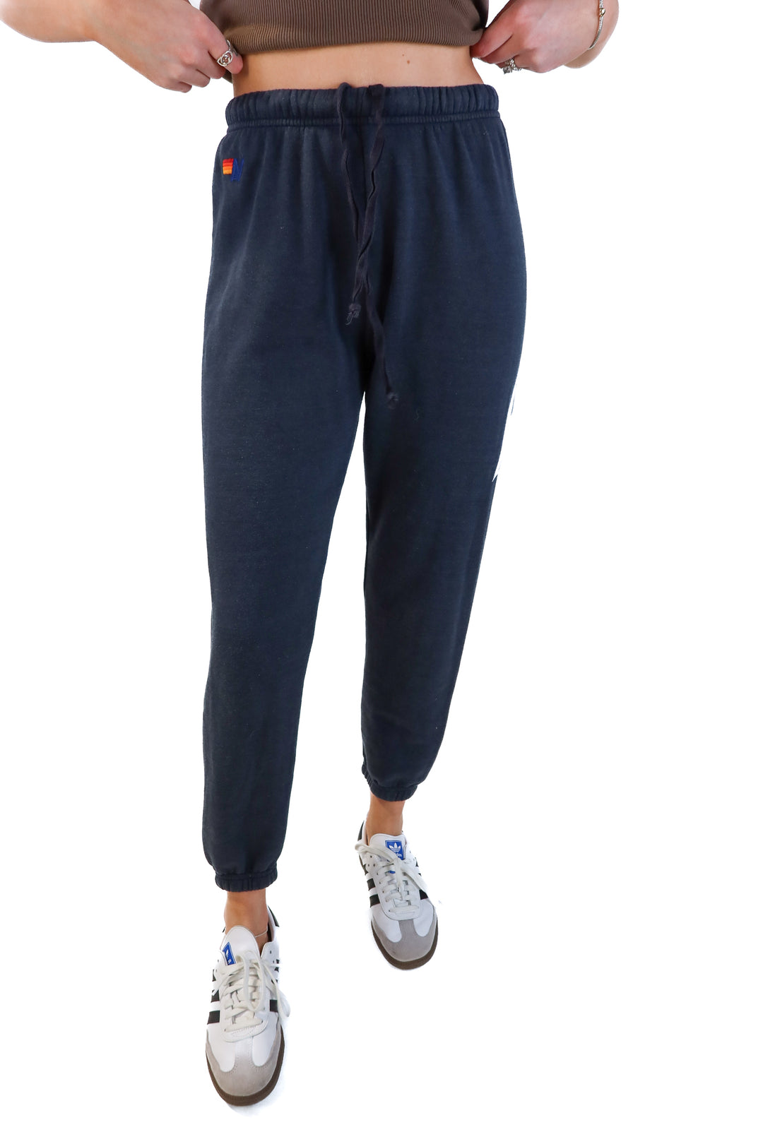 Aviator nation joggers (M; retails for $156)
