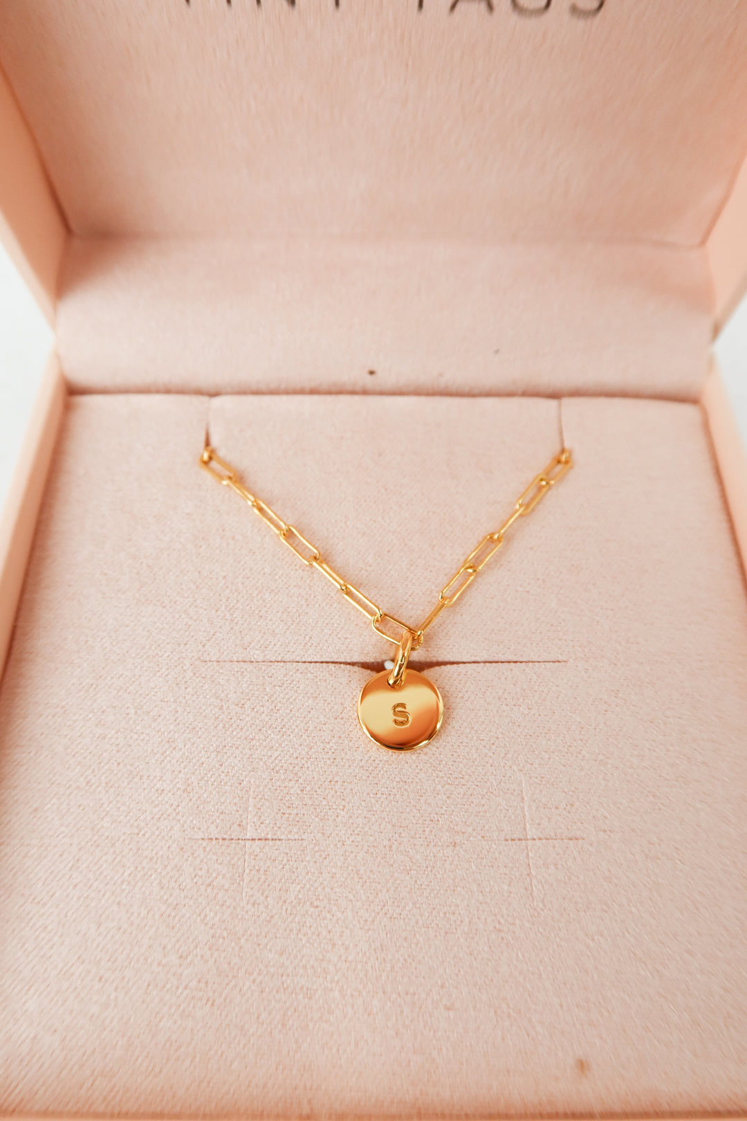 Tiny Tags gold "s" necklace NWT