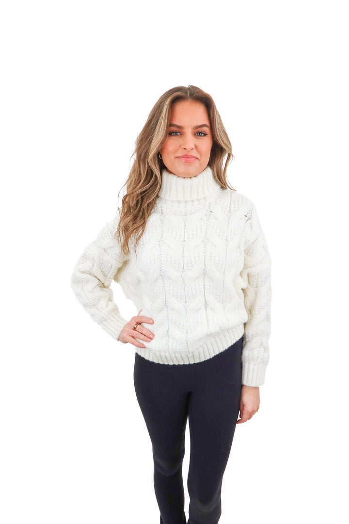 goodnight macaroon white turtleneck sweater (s; retail $59)
