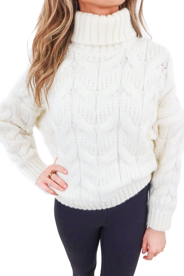 goodnight macaroon white turtleneck sweater (s; retail $59)