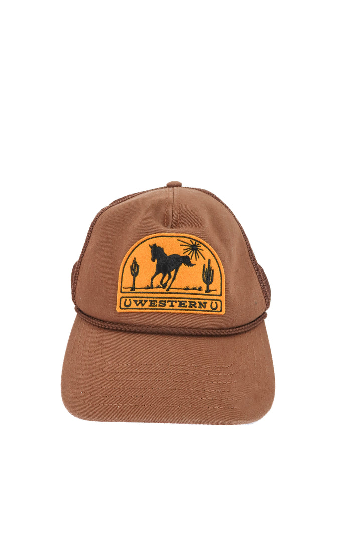 mighty fine brown western hat