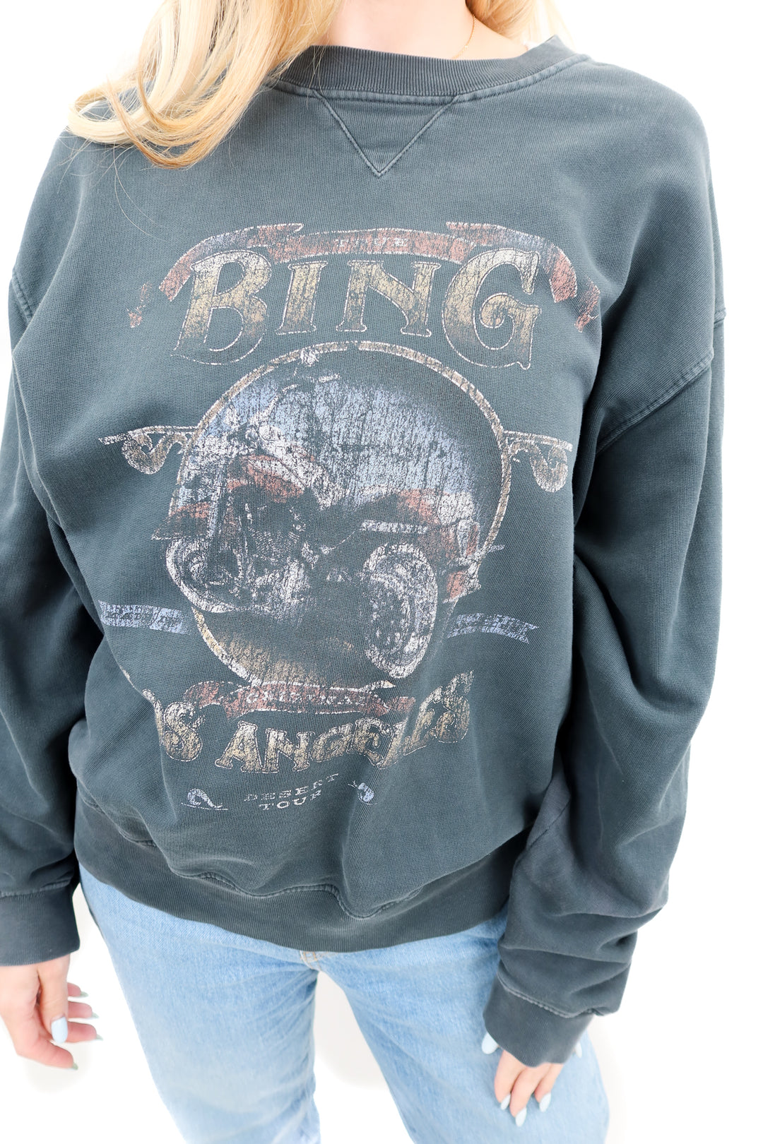 Anine Bing graphic sweatshirt (L; retail $220)