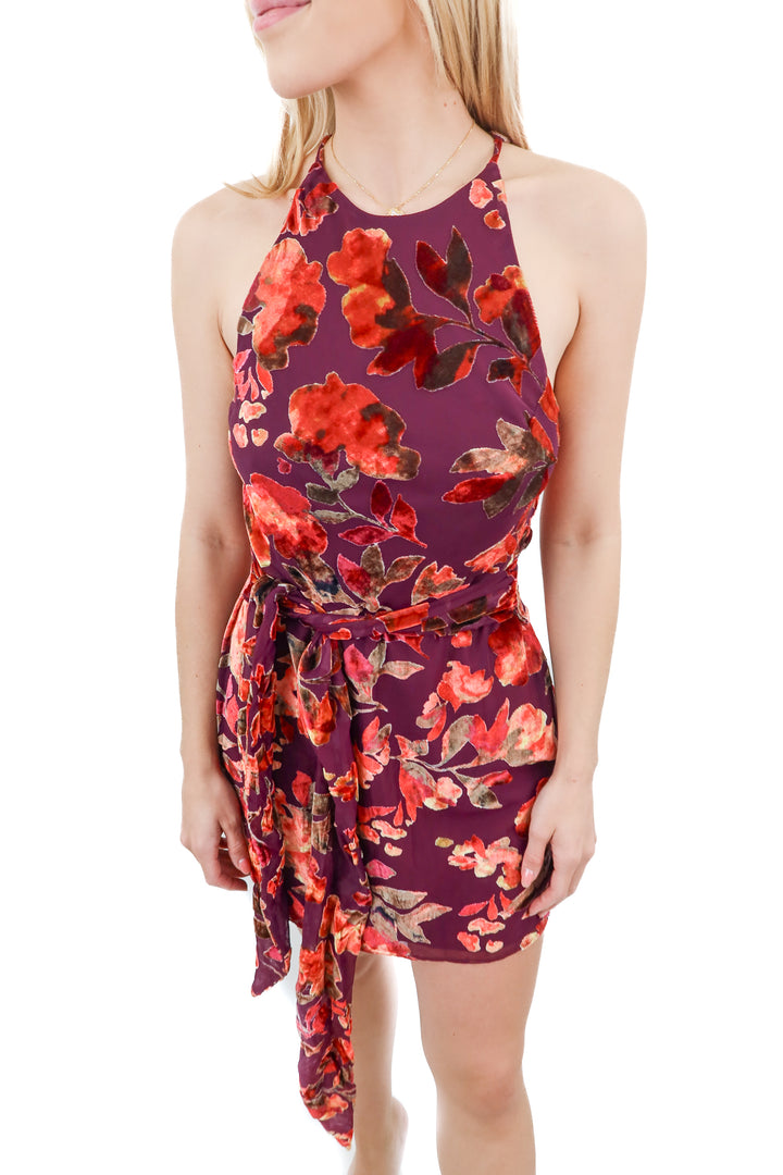 Amanda Uprichard burgandy floral mini dress (S)