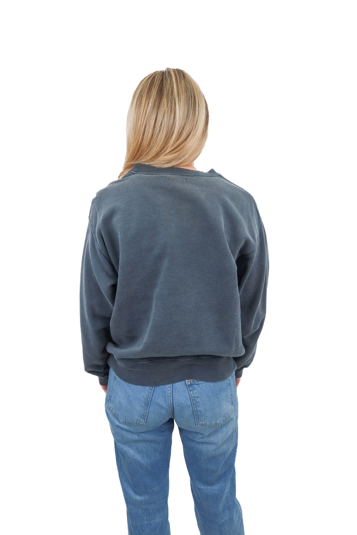 anine bing cobra crewneck (S; retail $220)