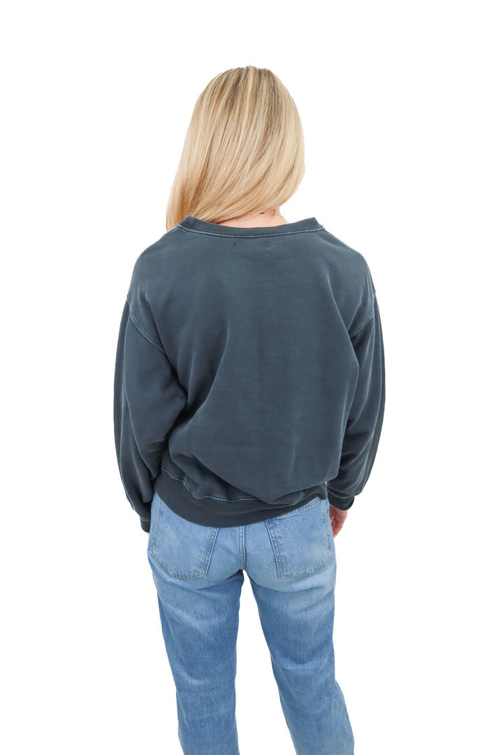 Anine Bing graphic sweatshirt (S; retail $220)