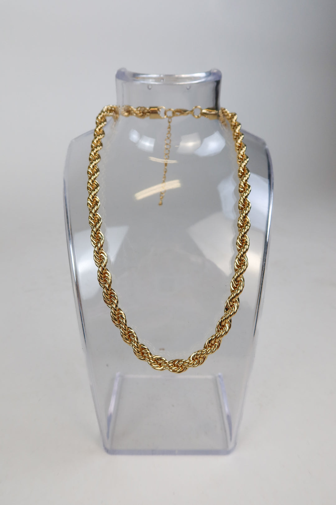 ALV jewels gold rope necklace (retails for $68)