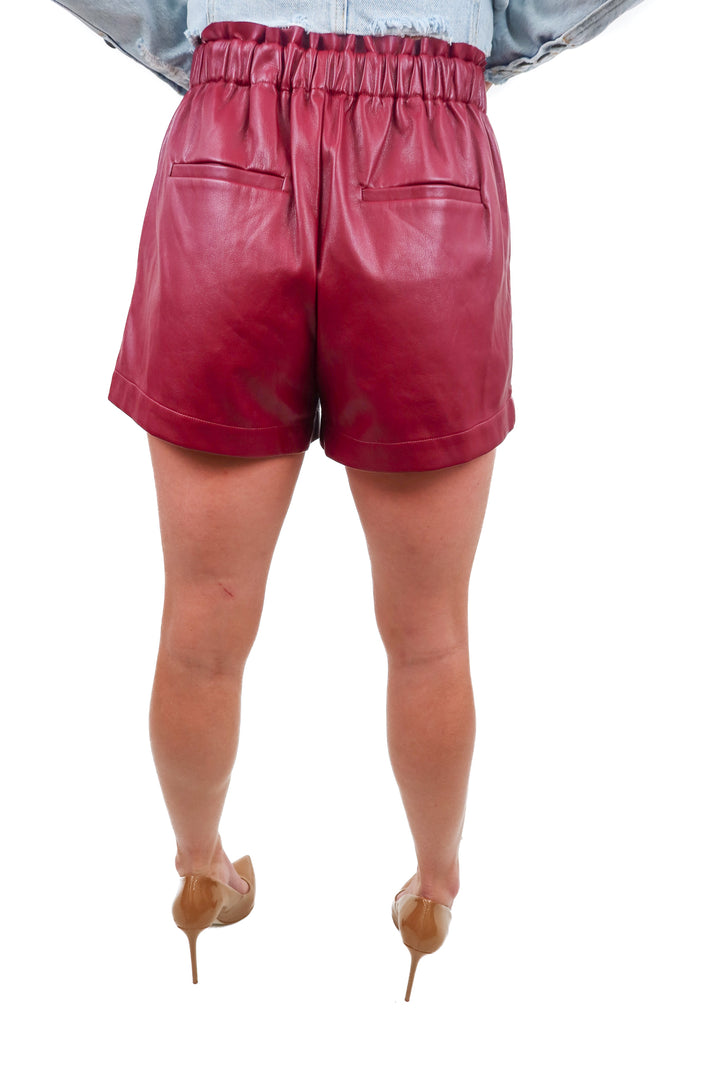cami purple vegan leather shorts NWT (s)