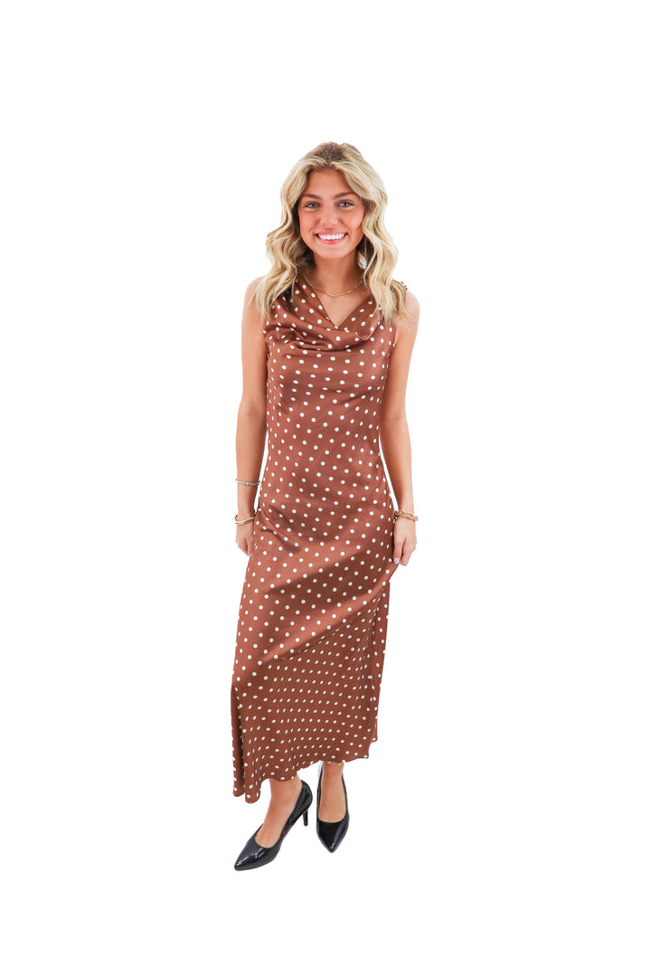 benaar brown polka dot maxi dress nwt (s; retail $175)
