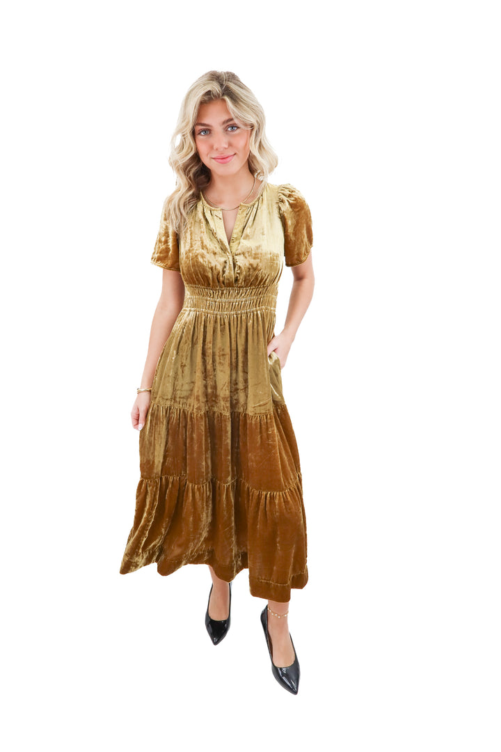 anthropologie gold velvet maxi dress nwt (xxs; retail $180)