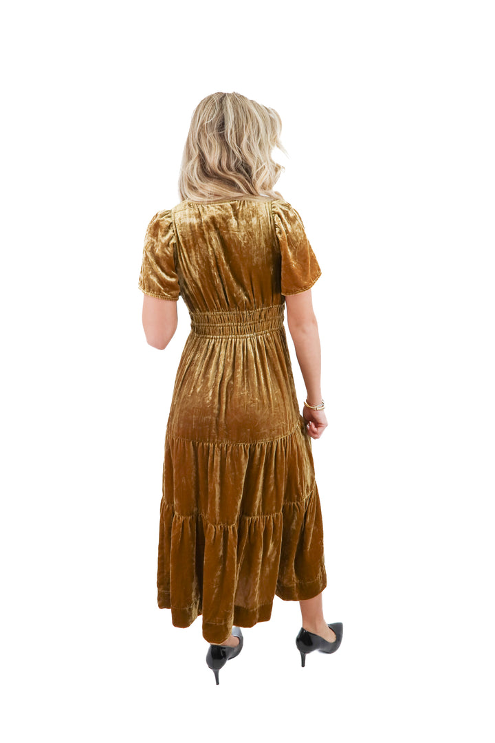 anthropologie gold velvet maxi dress nwt (xxs; retail $180)