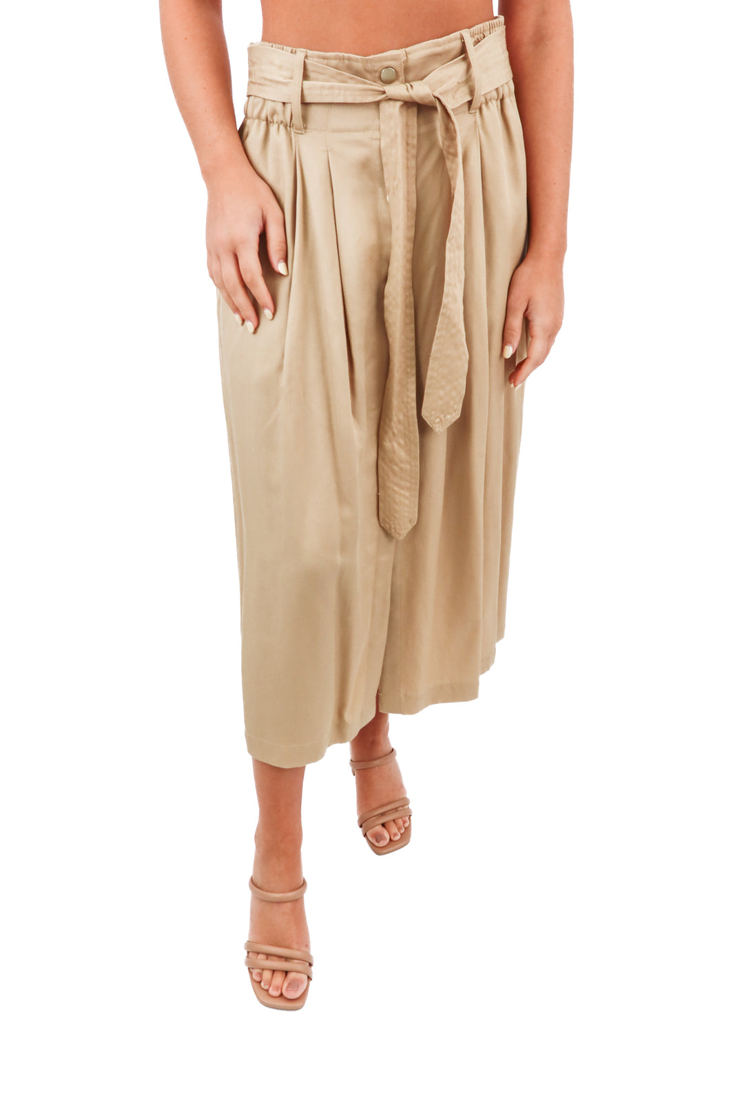 ann taylor brown button front maxi skirt (4; retail $129)