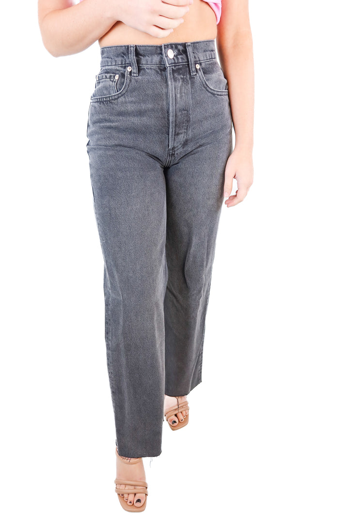 Triarchy black straight leg jeans NWOT (25; retail $298)