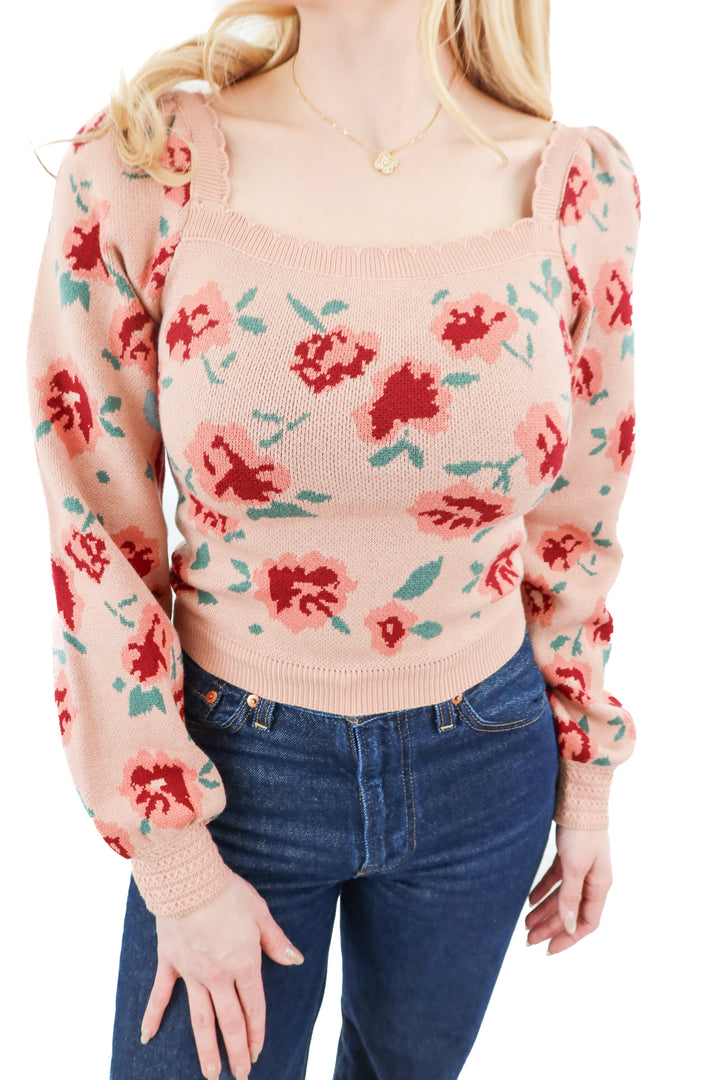 willow & wind dusty rose floral knit top nwt (xs; retail $50)