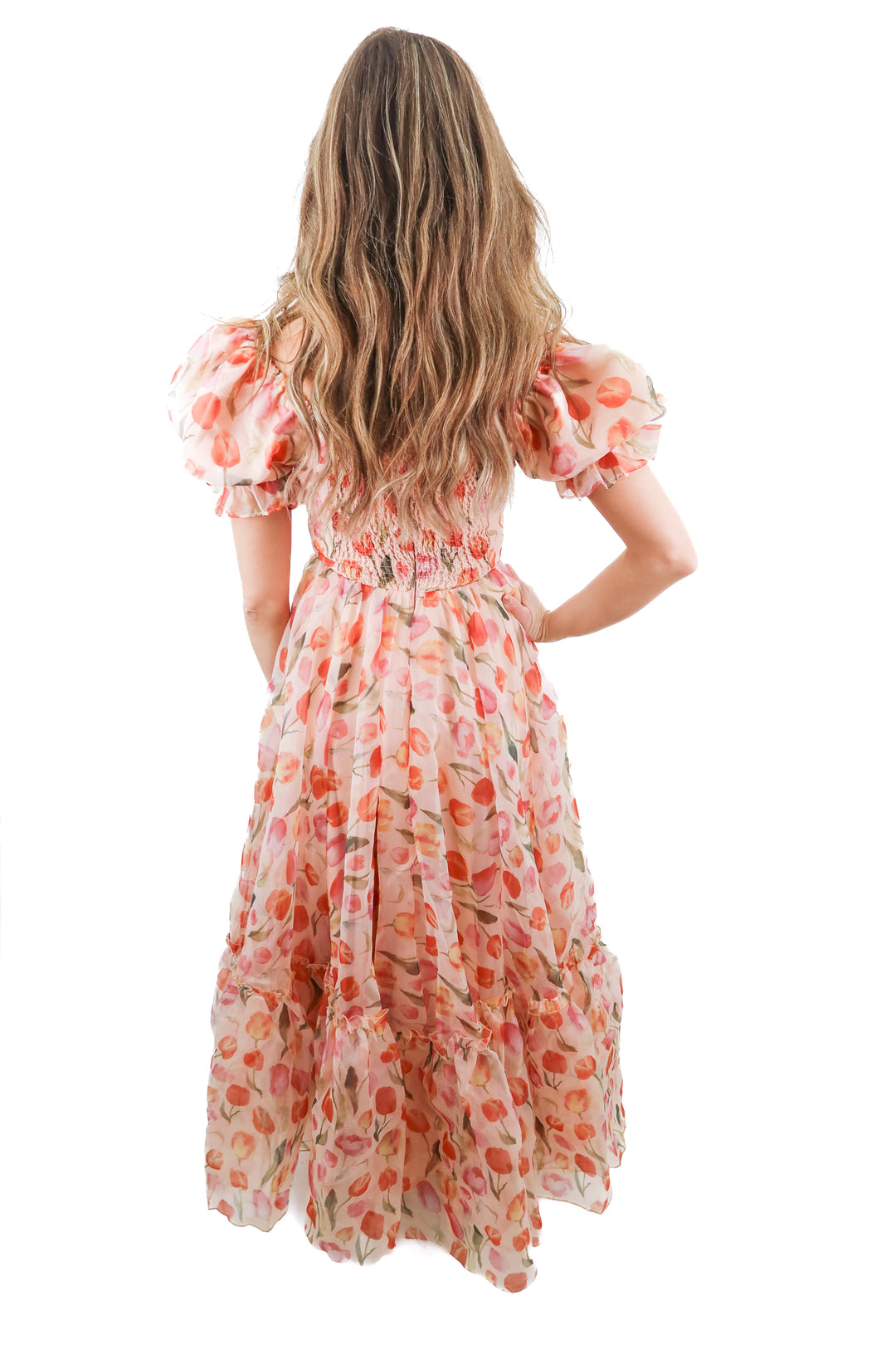 Ivy City Co. Tulip maxi dress (XXS; retail $188)