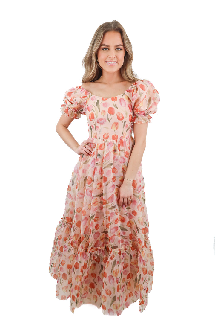 Ivy City Co. Tulip maxi dress (XXS; retail $188)