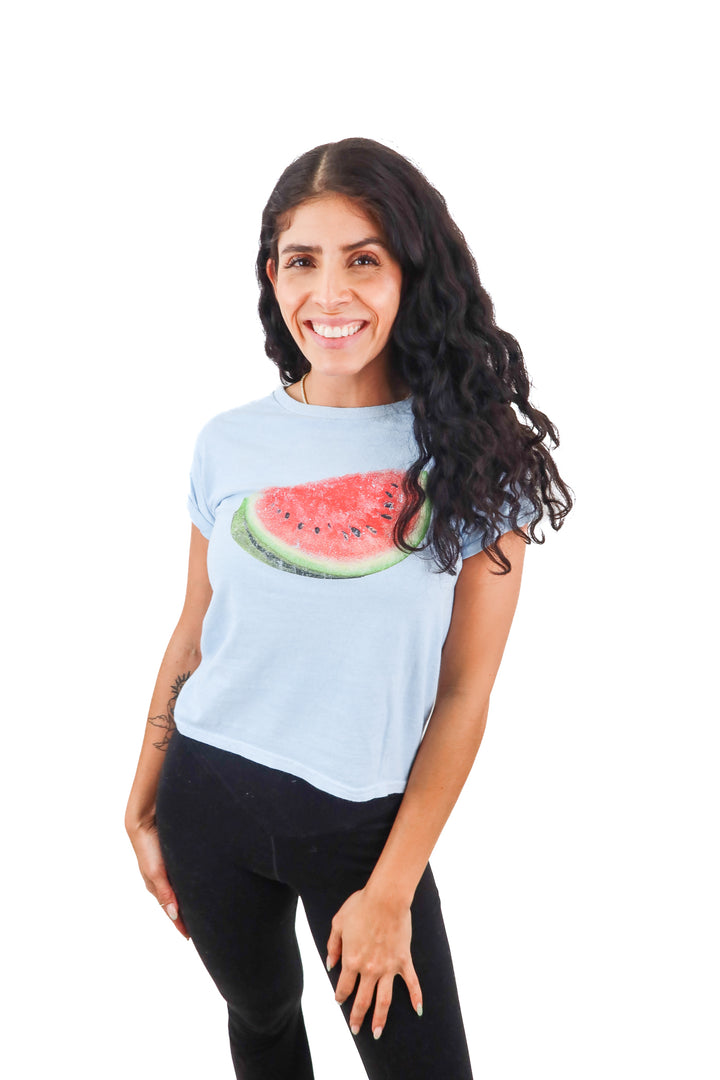 by anthropologie blue watermelon shirt (XS)