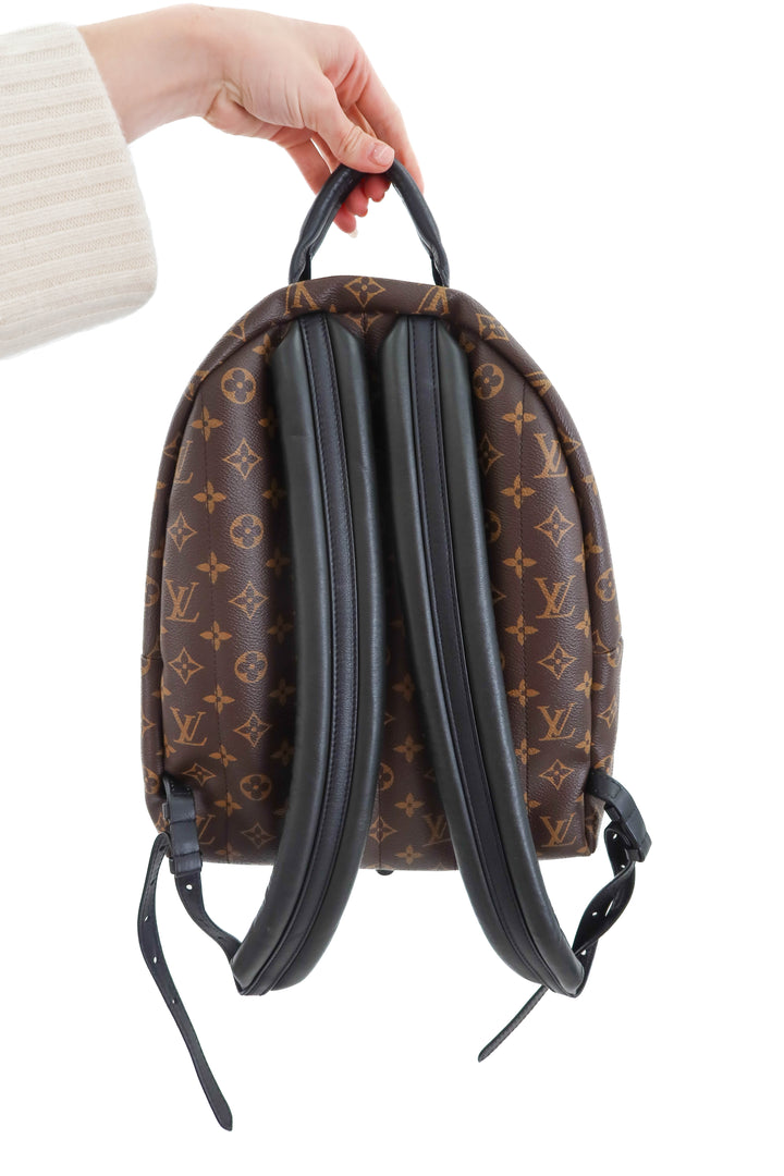 louis vuitton palm springs MM backpack (retail $2,980)