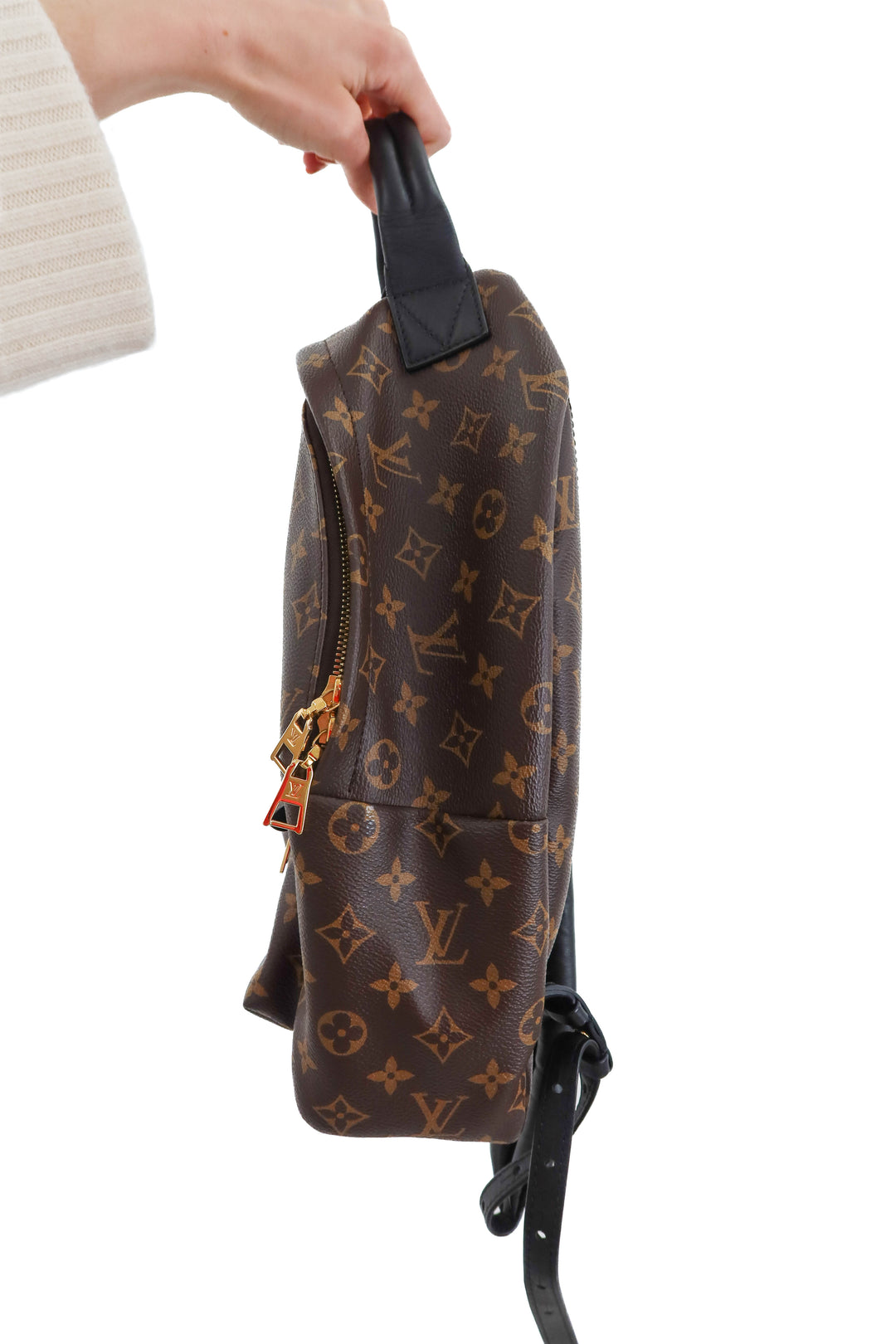 louis vuitton palm springs MM backpack (retail $2,980)