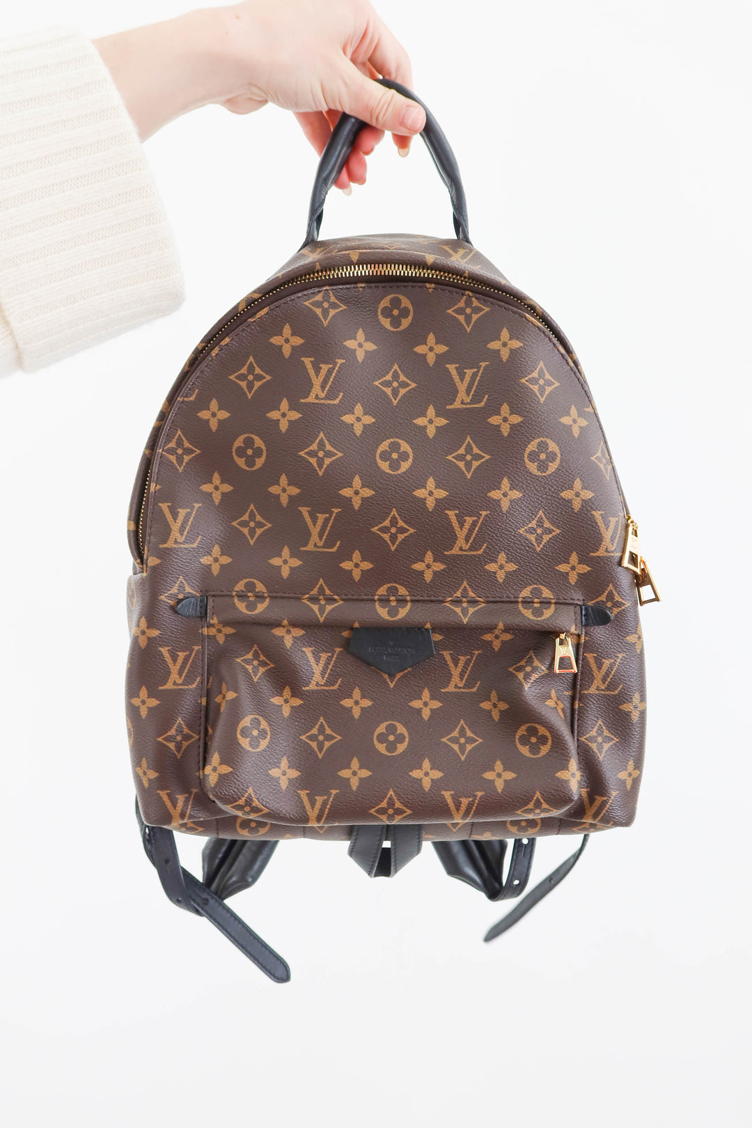 louis vuitton palm springs MM backpack (retail $2,980)