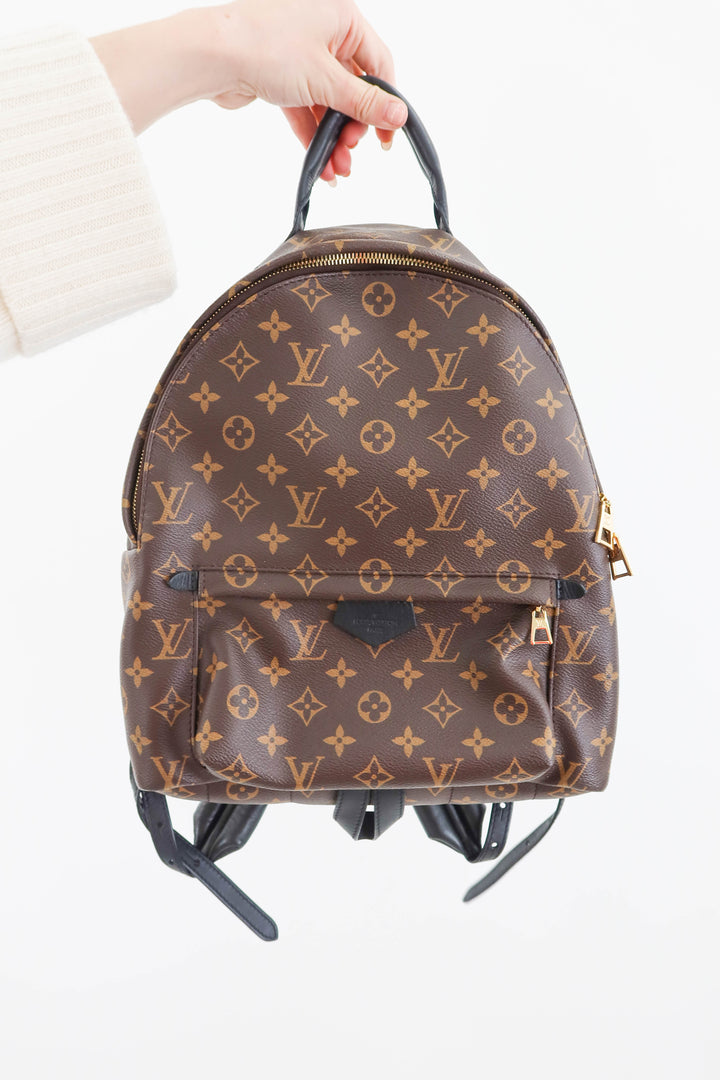 louis vuitton palm springs MM backpack (retail $2,980)