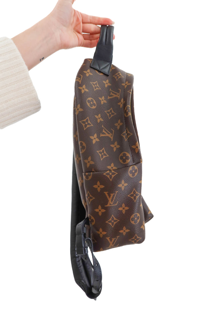 louis vuitton palm springs MM backpack (retail $2,980)