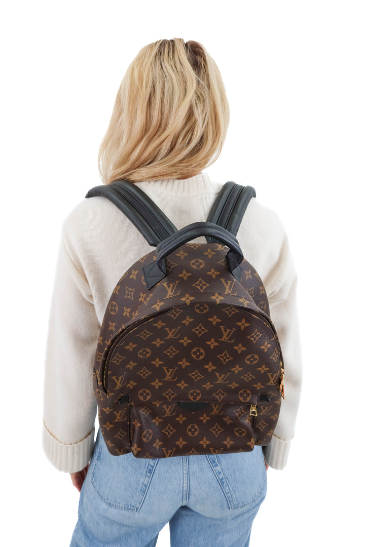 louis vuitton palm springs MM backpack (retail $2,980)