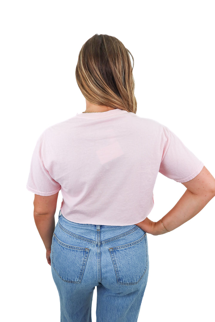 altard state pink usa cropped tshirt NWT (m; retail $42)