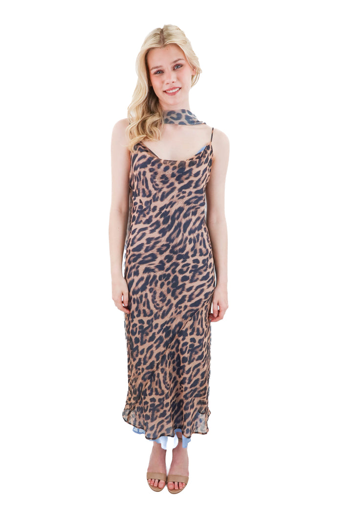 topshop leopard sheer dress (6)