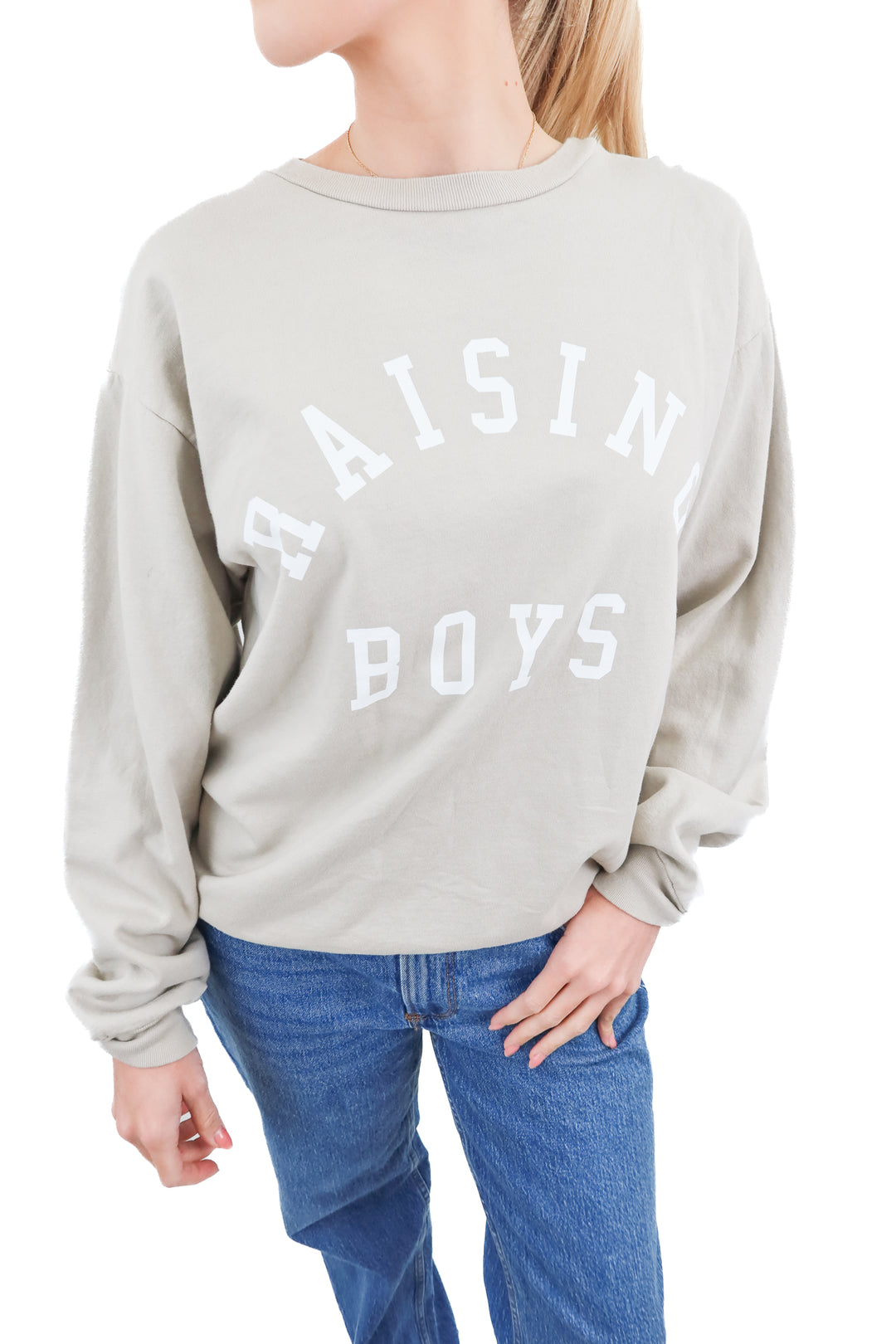 raising boys graphic pullover (m)