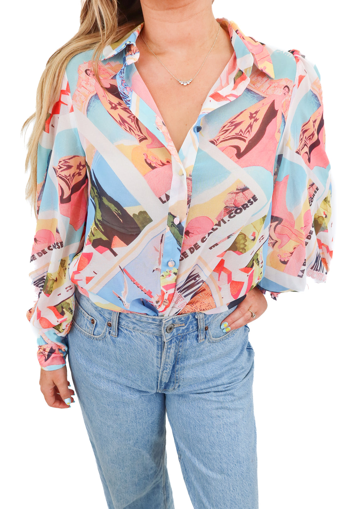 runaway paris sheer blouse (s; retail $79)