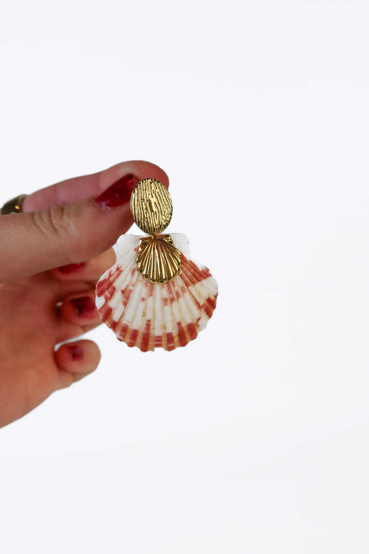 Seashell Earrnings