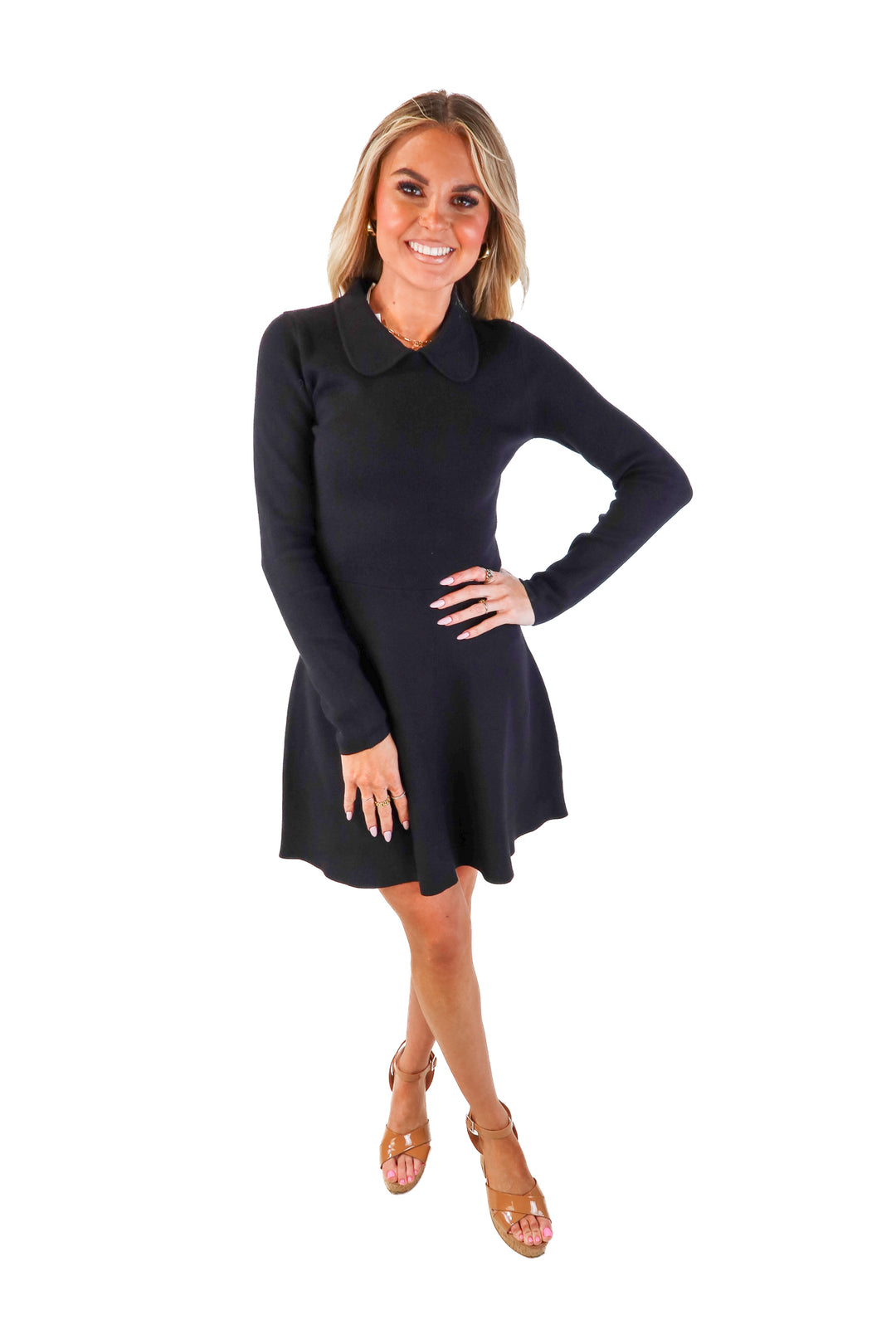 petal + pup black skater collared dress NWT (s; retail $99)