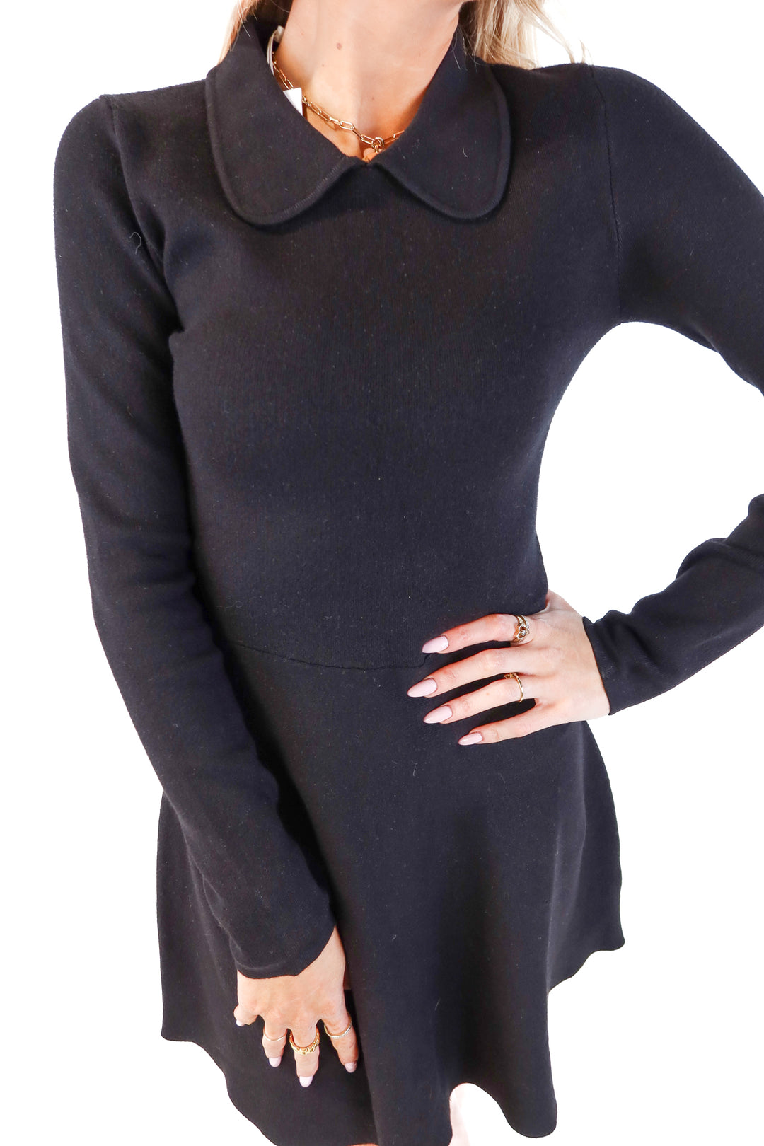 petal + pup black skater collared dress NWT (s; retail $99)