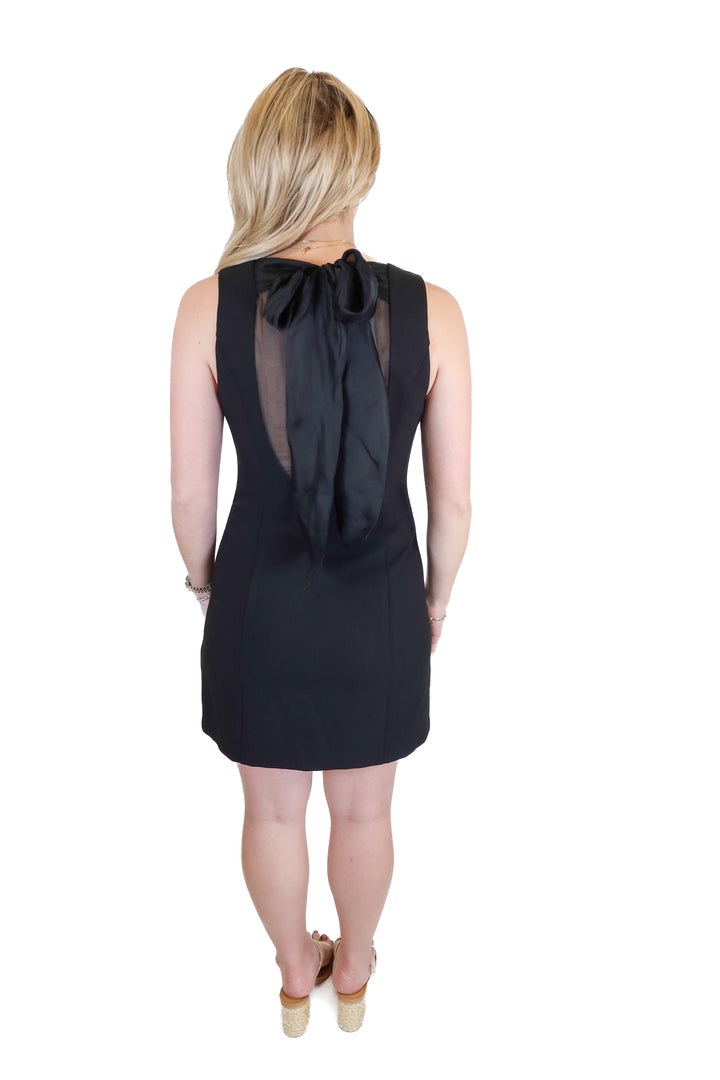 Endless Rose Black Back Tie Dress (S; retail $130)