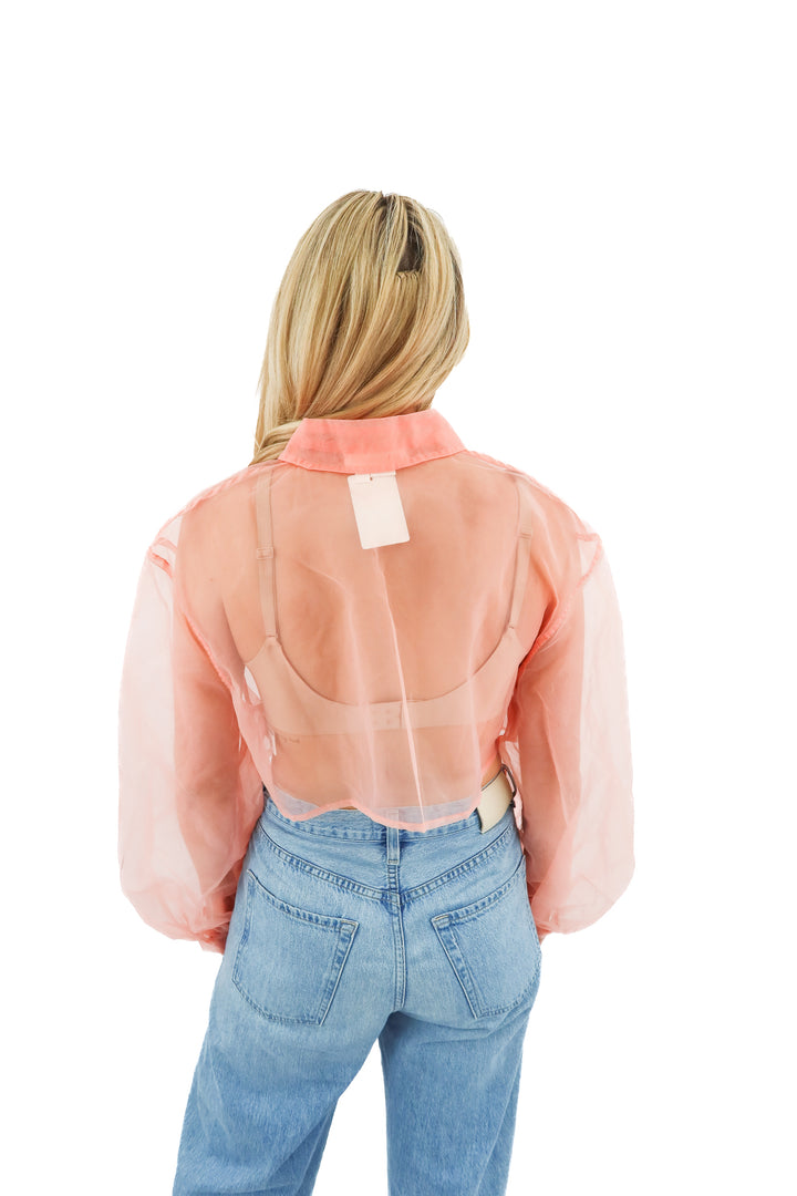 anthropologie pink sheer top (os; retail $98)