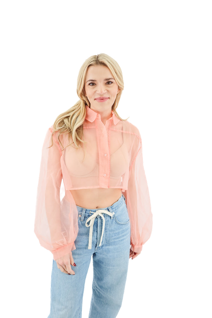 anthropologie pink sheer top (os; retail $98)