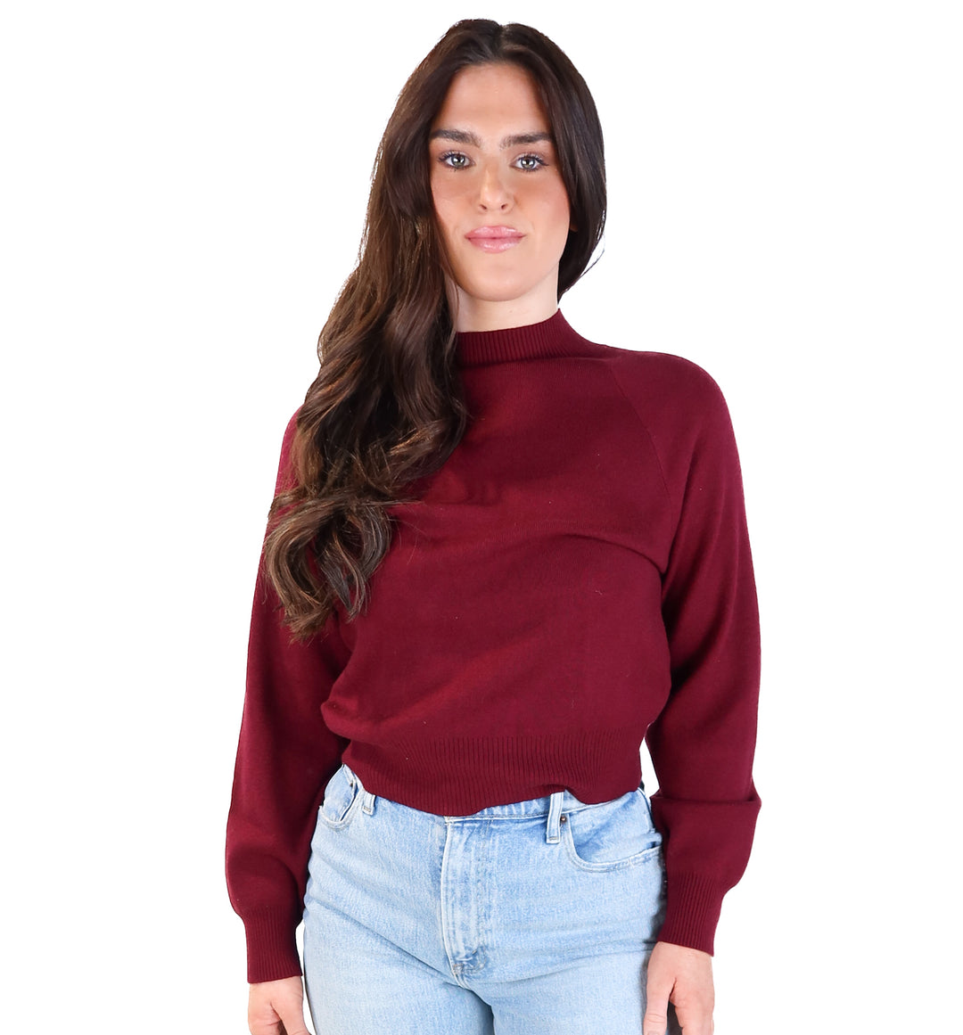 Vici maroon turtleneck sweater (s; retails for $58)