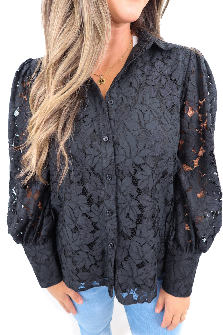 petal + pup black lace button up NWT (L)