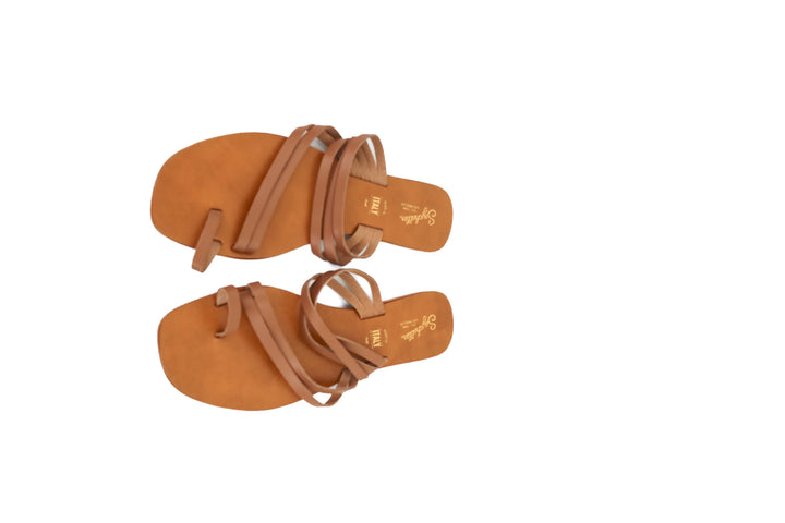 Seychelles brown strappy sandal (10; retail $119)