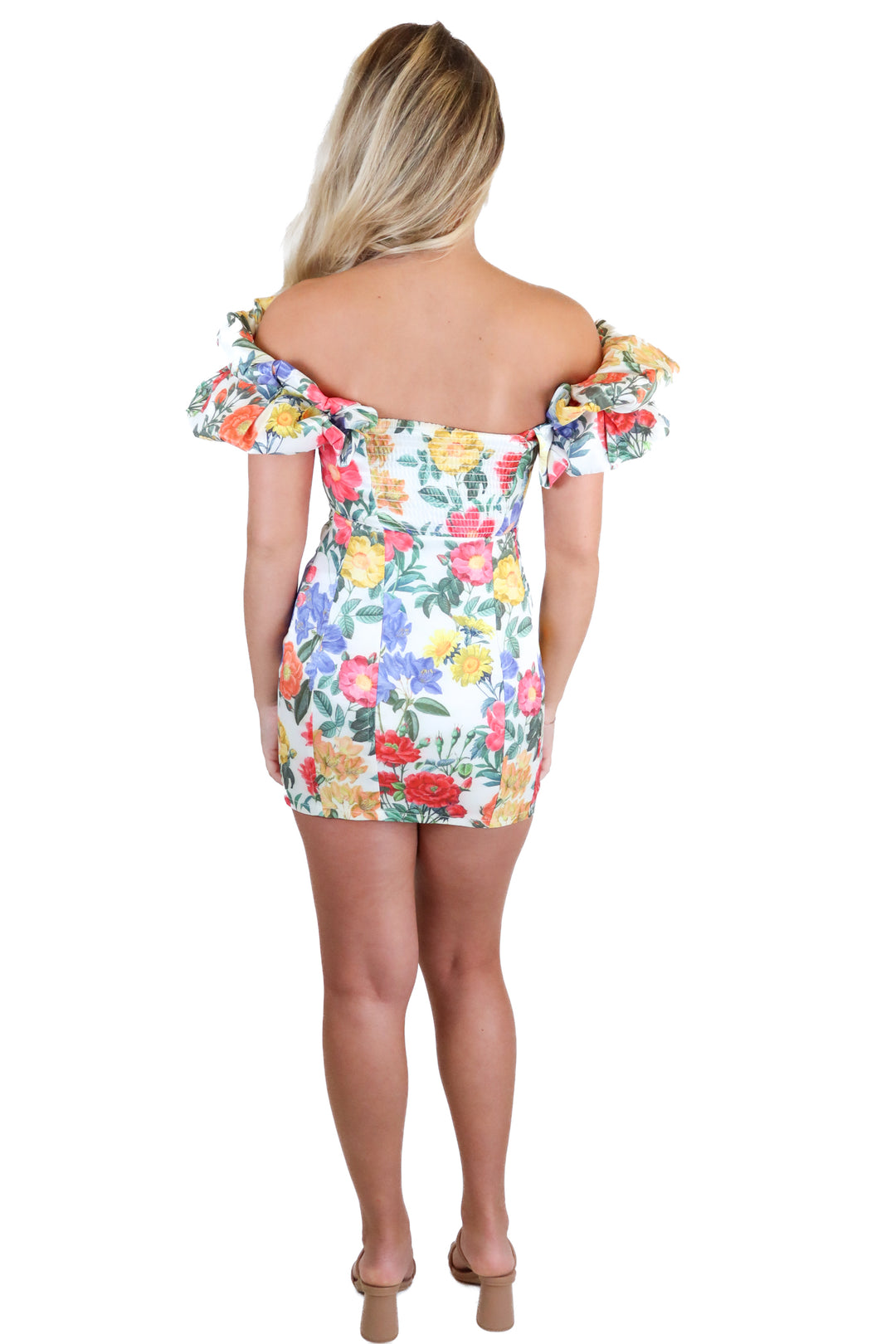 Show Me Your Mumu Multi-Color Tapestry Floral Mini Dress (XS)