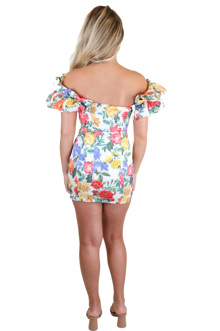 Show Me Your Mumu Multi-Color Tapestry Floral Mini Dress (XS)