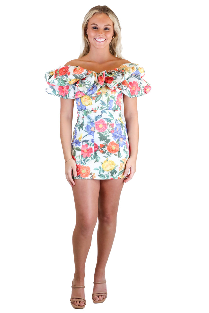 Show Me Your Mumu Multi-Color Tapestry Floral Mini Dress (XS)
