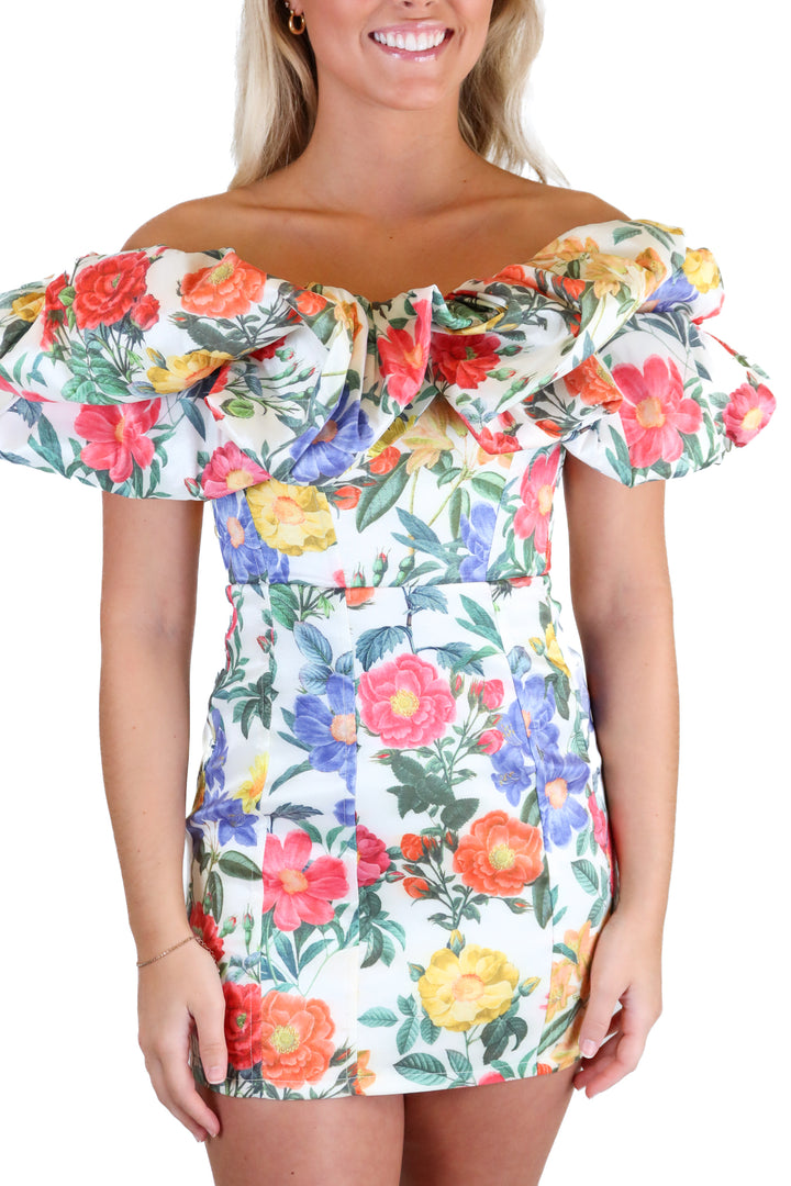 Show Me Your Mumu Multi-Color Tapestry Floral Mini Dress (XS)