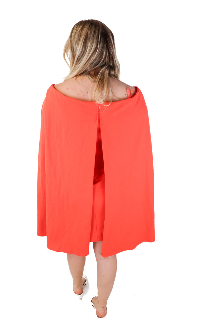adrianna papell coral dress (14; retail $169)