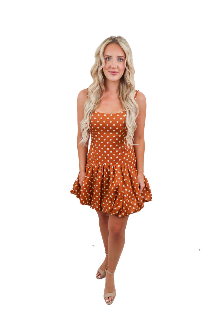 Hutch polka dot brown dress NWT (2; retail $298)